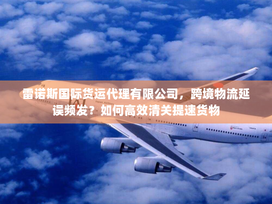 雷诺斯国际货运代理有限公司,跨境物流延误频发?如何高效清关提速货物 雷诺斯国际货运代理有限公司,跨境物流延误频发?如何高效清关提速货物