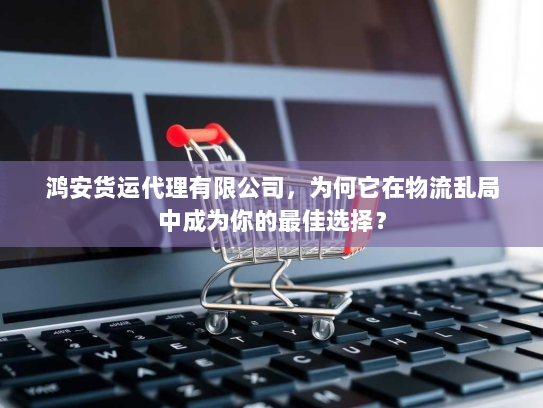 鸿安货运代理有限公司，为何它在物流乱局中成为你的最佳选择？