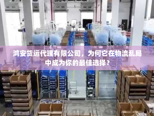 鸿安货运代理有限公司，为何它在物流乱局中成为你的最佳选择？