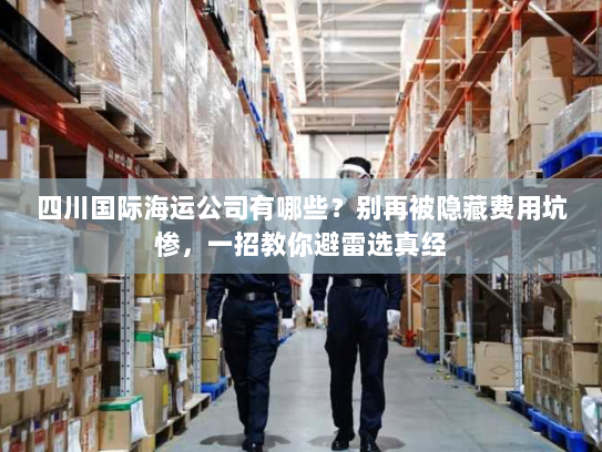 四川国际海运公司有哪些?别再被隐藏费用坑惨,一招教你避雷选真经 四川国际海运公司有哪些?别再被隐藏费用坑惨,一招教你避雷选真经