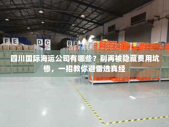 四川国际海运公司有哪些?别再被隐藏费用坑惨,一招教你避雷选真经 四川国际海运公司有哪些?别再被隐藏费用坑惨,一招教你避雷选真经