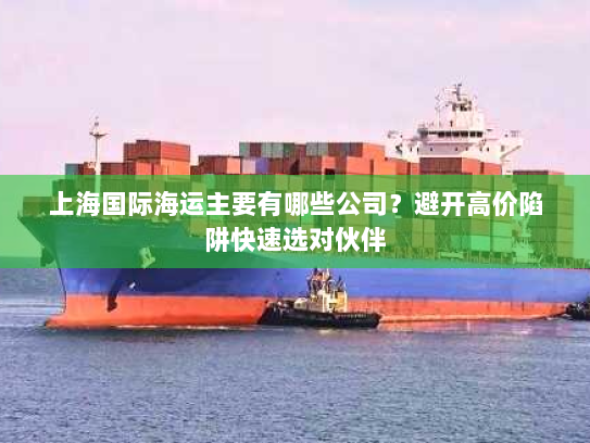 上海国际海运主要有哪些公司？避开高价陷阱快速选对伙伴