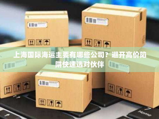 上海国际海运主要有哪些公司？避开高价陷阱快速选对伙伴