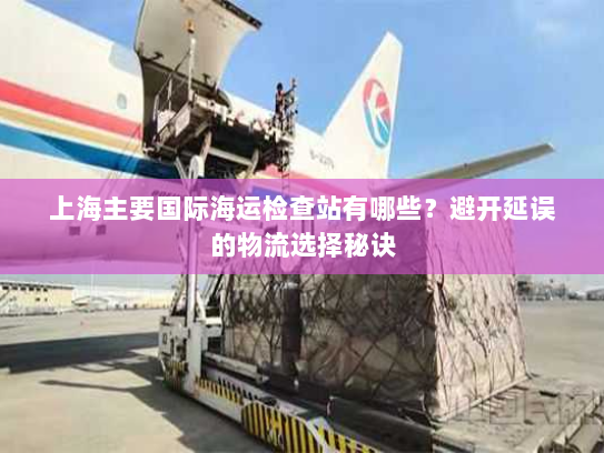 上海主要国际海运检查站有哪些?避开延误的物流选择秘诀 上海主要国际海运检查站有哪些?避开延误的物流选择秘诀