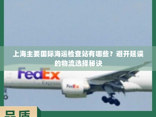 上海主要国际海运检查站有哪些？避开延误的物流选择秘诀