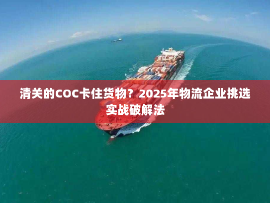 清关的COC卡住货物？2025年物流企业挑选实战破解法