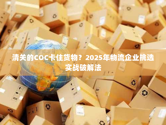清关的COC卡住货物？2025年物流企业挑选实战破解法