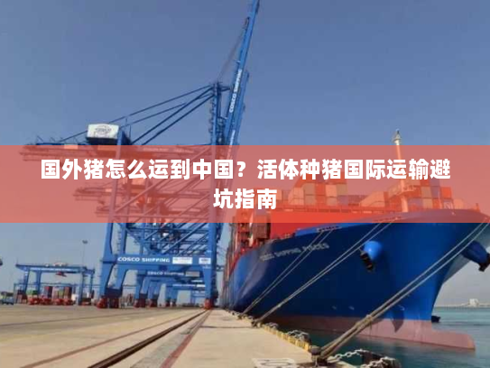 国外猪怎么运到中国？活体种猪国际运输避坑指南