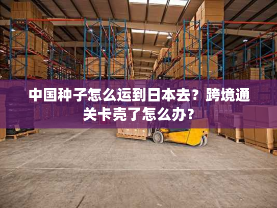 中国种子怎么运到日本去？跨境通关卡壳了怎么办？