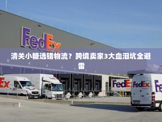 清关小糖选错物流？跨境卖家3大血泪坑全避雷