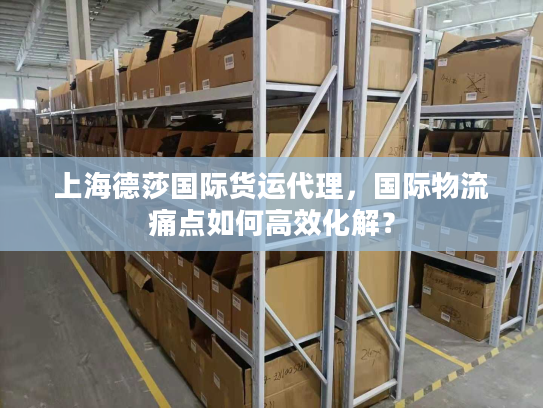 上海德莎国际货运代理，国际物流痛点如何高效化解？