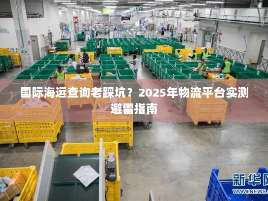 国际海运查询老踩坑？2025年物流平台实测避雷指南