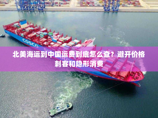 北美海运到中国运费到底怎么查？避开价格刺客和隐形消费