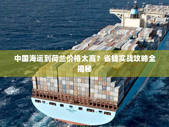 中国海运到荷兰价格太高?省钱实战攻略全揭秘 中国海运到荷兰价格太高?省钱实战攻略全揭秘