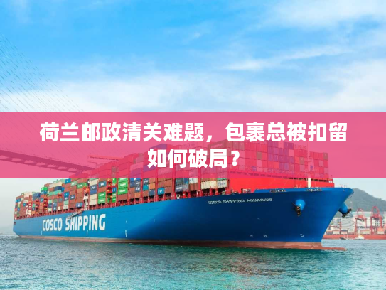 荷兰邮政清关难题，包裹总被扣留如何破局？