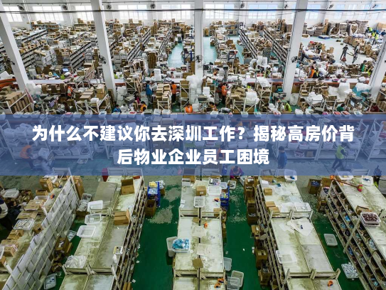 为什么不建议你去深圳工作?揭秘高房价背后物业企业员工困境 为什么不建议你去深圳工作?揭秘高房价背后物业企业员工困境