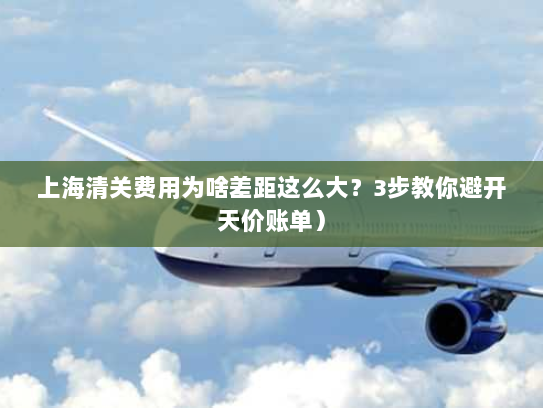 上海清关费用为啥差距这么大？3步教你避开天价账单）