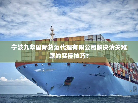 宁波九华国际货运代理有限公司解决清关难题的实操技巧? 宁波九华国际货运代理有限公司解决清关难题的实操技巧?