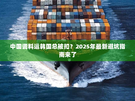 中国调料运韩国总被扣?2025年最新避坑指南来了 中国调料运韩国总被扣?2025年最新避坑指南来了
