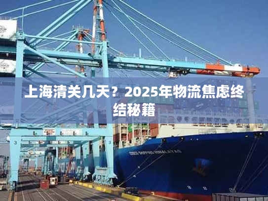 上海清关几天？2025年物流焦虑终结秘籍