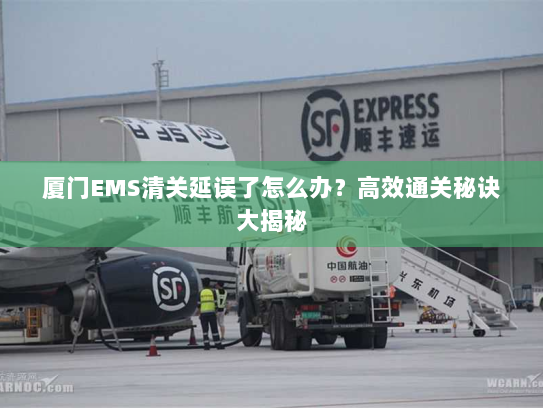 厦门EMS清关延误了怎么办?高效通关秘诀大揭秘 厦门EMS清关延误了怎么办?高效通关秘诀大揭秘