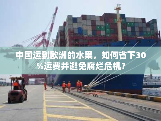 中国运到欧洲的水果，如何省下30%运费并避免腐烂危机？