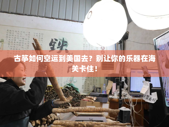 古筝如何空运到美国去?别让你的乐器在海关卡住! 古筝如何空运到美国去?别让你的乐器在海关卡住!