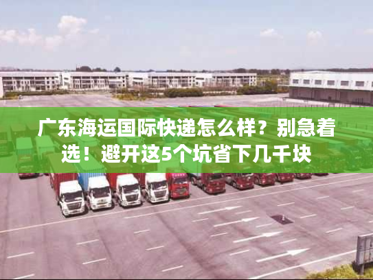 广东海运国际快递怎么样?别急着选!避开这5个坑省下几千块 广东海运国际快递怎么样?别急着选!避开这5个坑省下几千块
