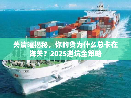 关清曜揭秘，你的货为什么总卡在海关？2025避坑全策略
