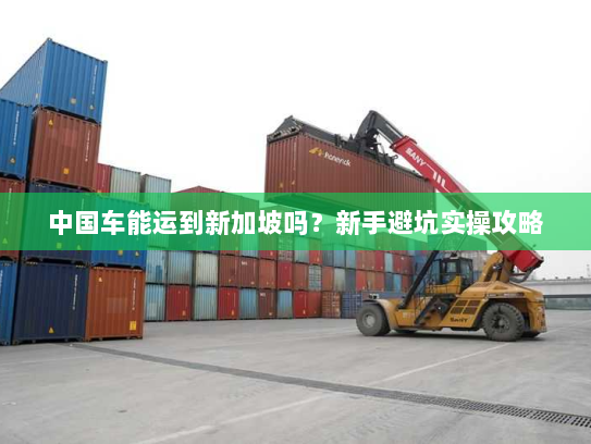 中国车能运到新加坡吗？新手避坑实操攻略