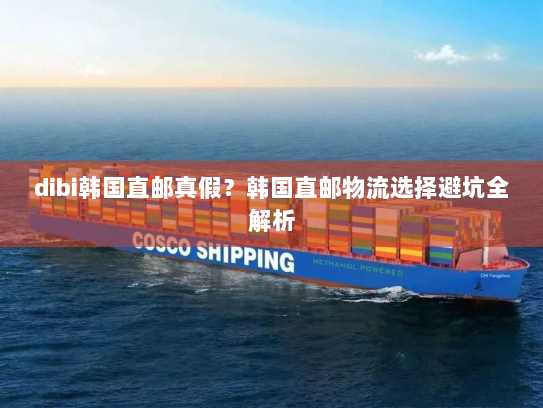 dibi韩国直邮真假?韩国直邮物流选择避坑全解析 dibi韩国直邮真假?韩国直邮物流选择避坑全解析
