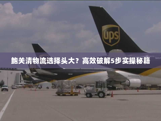 鲍关清物流选择头大?高效破解5步实操秘籍 鲍关清物流选择头大?高效破解5步实操秘籍