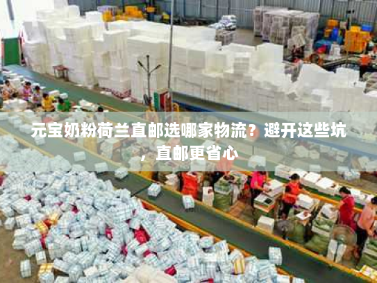 元宝奶粉荷兰直邮选哪家物流？避开这些坑，直邮更省心