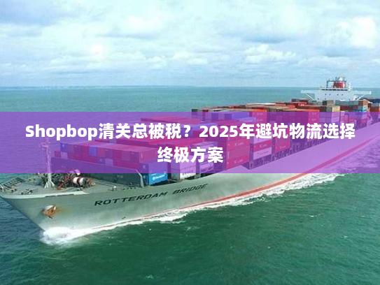 Shopbop清关总被税?2025年避坑物流选择终极方案 Shopbop清关总被税?2025年避坑物流选择终极方案