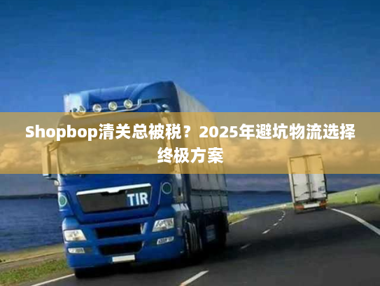 Shopbop清关总被税?2025年避坑物流选择终极方案 Shopbop清关总被税?2025年避坑物流选择终极方案