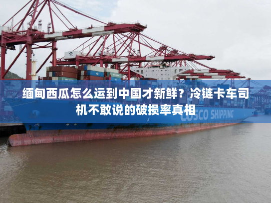 缅甸西瓜怎么运到中国才新鲜？冷链卡车司机不敢说的破损率真相