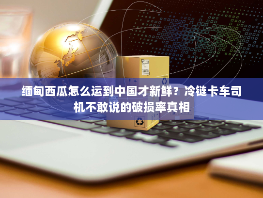 缅甸西瓜怎么运到中国才新鲜？冷链卡车司机不敢说的破损率真相