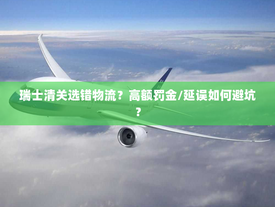 瑞士清关选错物流?高额罚金/延误如何避坑? 瑞士清关选错物流?高额罚金/延误如何避坑?