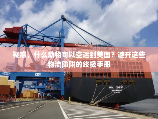 疑惑,什么动物可以空运到美国?避开这些物流陷阱的终极手册 疑惑,什么动物可以空运到美国?避开这些物流陷阱的终极手册