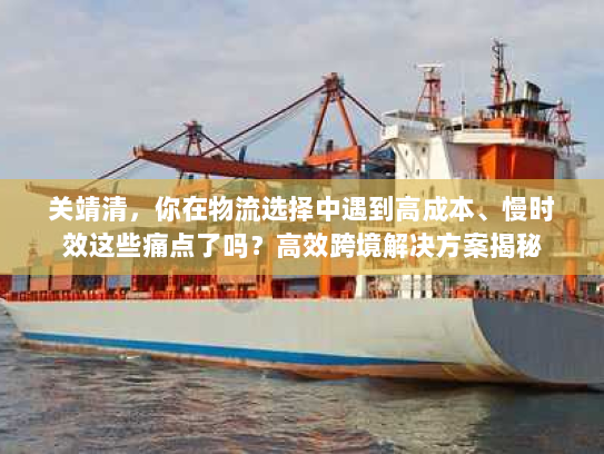 关靖清,你在物流选择中遇到高成本、慢时效这些痛点了吗?高效跨境解决方案揭秘 关靖清,你在物流选择中遇到高成本、慢时效这些痛点了吗?高效跨境解决方案揭秘