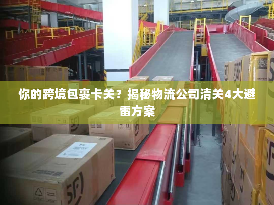 你的跨境包裹卡关?揭秘物流公司清关4大避雷方案 你的跨境包裹卡关?揭秘物流公司清关4大避雷方案