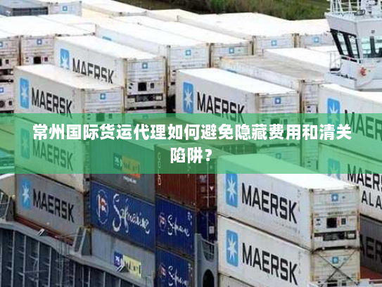 常州国际货运代理如何避免隐藏费用和清关陷阱? 常州国际货运代理如何避免隐藏费用和清关陷阱?