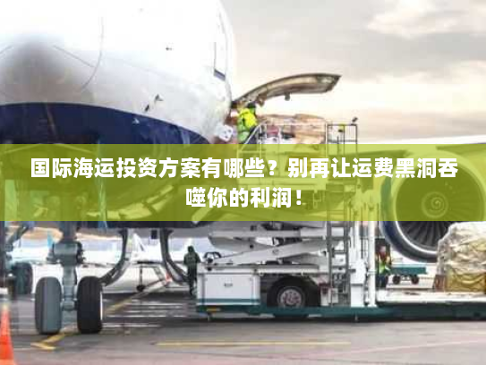 国际海运投资方案有哪些？别再让运费黑洞吞噬你的利润！