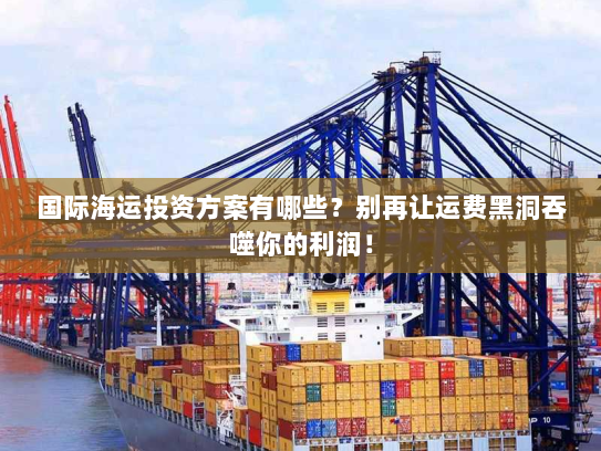 国际海运投资方案有哪些?别再让运费黑洞吞噬你的利润! 国际海运投资方案有哪些?别再让运费黑洞吞噬你的利润!