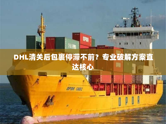 DHL清关后包裹停滞不前?专业破解方案直达核心 DHL清关后包裹停滞不前?专业破解方案直达核心