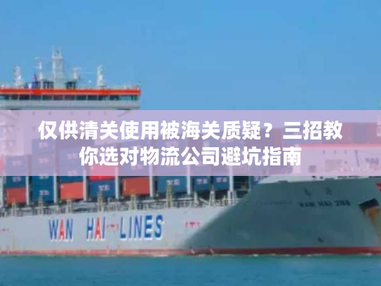 仅供清关使用被海关质疑？三招教你选对物流公司避坑指南