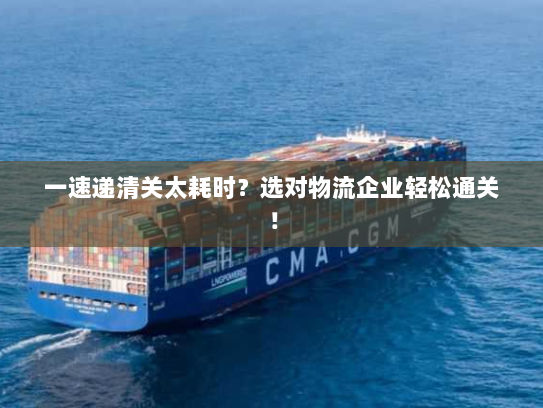 一速递清关太耗时?选对物流企业轻松通关! 一速递清关太耗时?选对物流企业轻松通关!
