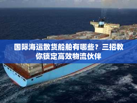 国际海运散货船舶有哪些？三招教你锁定高效物流伙伴