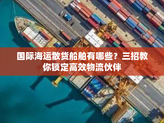 国际海运散货船舶有哪些？三招教你锁定高效物流伙伴