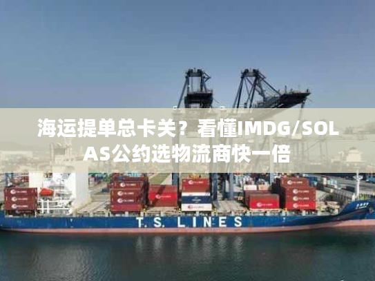 海运提单总卡关？看懂IMDG/SOLAS公约选物流商快一倍